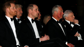 Prince Harry Acknowledges That He and William Have 'Good Days' and 'Bad Days'